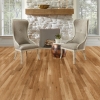 Picture of Azalea Lane - Avondale Engineered Porch