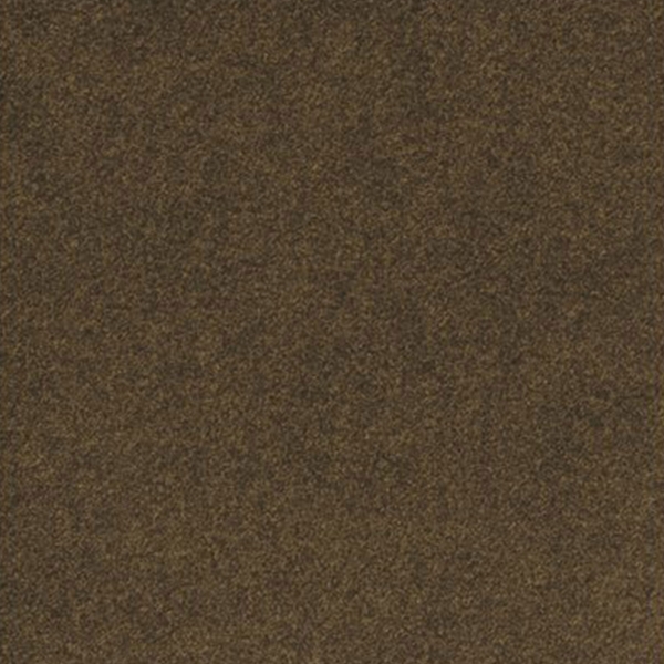 Picture of Palmetto Road - Grizzly Grass Turf Pecan