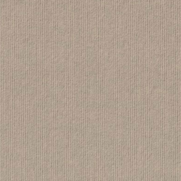 Picture of Palmetto Road - Cutting Edge Hi-Lo 24 x 24 Dove