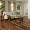 Picture of Palmetto Road - Inspire Dakota