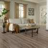 Picture of Palmetto Road - Inspire Mist