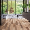 Picture of Palmetto Road - Riviera Valencia