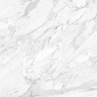 Picture of Anatolia Tile & Stone - La Marca 32 x 32 Statuarietto Honed