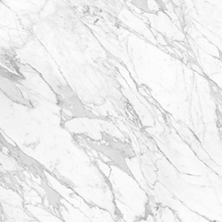 Picture of Anatolia Tile & Stone - La Marca 24 x 24 Statuarietto Honed