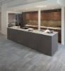 Picture of Tesoro - Larix Shade