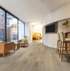 Picture of Metroflor - Deja New San Marcos Oak with ATTRAXION Waxed Greige