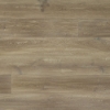 Picture of Monarch Plank - Domaine II Allier