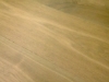 Picture of Monarch Plank - La Grande Venosta