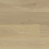 Picture of Monarch Plank - La Grande Grenoble