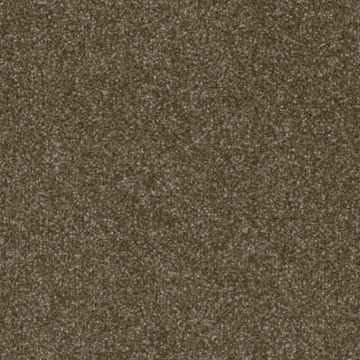 Picture of J+J Flooring - Sanibel Coast