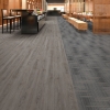 Picture of Next Floor - Level Best Level Headed