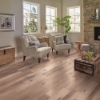 Picture of HomerWood - Simplicity Character Sand
