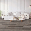 Picture of Chesapeake Flooring - ProSolutions 20 Plank Timber Grove