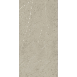 Picture of Roca - Piasentina 24 x 48 Matte Silver