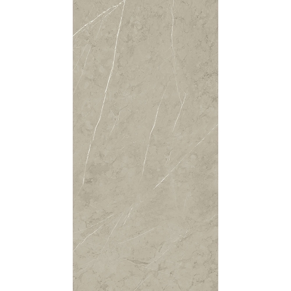Picture of Roca - Piasentina 24 x 48 Matte Silver