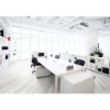 Picture of Tesoro - Mayfair 16 x 32 Polished Suave Bianco