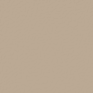 Picture of Roppe - Designers Choice Textured 12 x 12 Latte