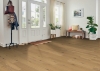 Picture of Robbins - ArmorWood Spring Shade