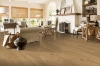 Picture of Robbins - ArmorWood Spring Shade