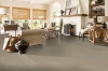 Picture of Robbins - Coastside 9 Surfside