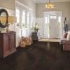 Picture of Robbins - HydroGuard Shaded Terrace Oak