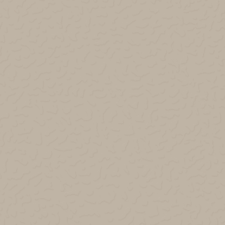 Picture of Roppe - Designers Choice Textured 6 x 6 Buff