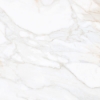 Picture of Tesoro - Paonazzo 36 x 36 Calacatta Gold Matte