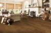 Picture of Robbins - Nature's Canvas Gold Beach Charm Oak