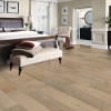 Picture of Robbins - Nature's Canvas Gold Sweet Dream Oak