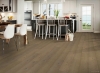 Picture of Robbins - Nature's Canvas Gold Sweet Dream Oak