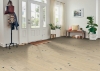 Picture of Robbins - Nature's Canvas Gold Simple Beauty Oak