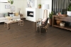 Picture of Robbins - Nature's Canvas Gold Pastel Impression Oak