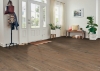 Picture of Robbins - Nature's Canvas Gold Pastel Impression Oak