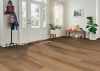 Picture of Robbins - Nature's Canvas Gold Sun Kissed Oak