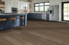Picture of Robbins - Nature's Canvas Gold Harvest Haven Hickory
