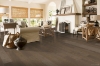 Picture of Robbins - Nature's Canvas Gold Harvest Haven Hickory