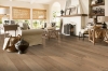 Picture of Robbins - Nature's Canvas Platinum Natural