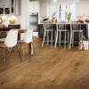 Picture of Robbins - Nature's Canvas Platinum Botanical Brown
