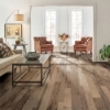 Picture of Robbins - Nature's Canvas Silver Hickory Mystic Vapor