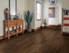 Picture of Robbins - Nature's Canvas Silver Oak Destination Brown