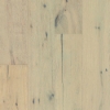 Picture of Robbins - Nature's Canvas Silver Oak Winter Forest