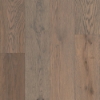 Picture of Robbins - Nature's Canvas Silver Oak Moon Star