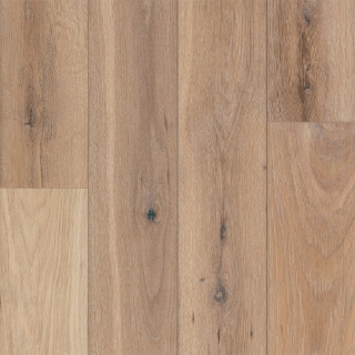Picture of Robbins - Nature's Canvas Silver Oak Summer Calls