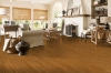 Picture of Robbins - Natural Forest Smooth Oak 3.25 Butterscotch