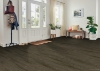Picture of Robbins - Natural Forest Smooth Oak 5 Nickel Gray