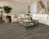 Picture of Shaw Floors - Anvil Plus Grey Chestnut