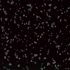 Picture of Roppe - Symmetry Hammered Black