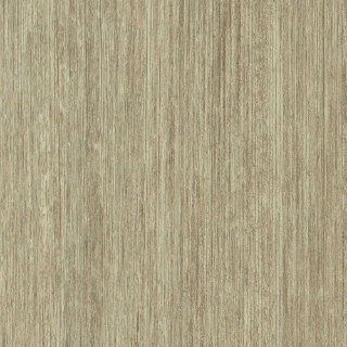 Picture of Shaw Floors - QH Downtown USA 20mil Peachtree Street