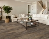 Picture of Shaw Floors - Supino HD Plus Saggio