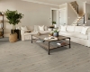 Picture of Shaw Floors - Supino HD Plus Argento